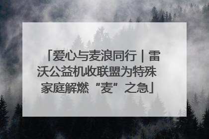 爱心与麦浪同行｜雷沃公益机收联盟为特殊家庭解燃“麦”之急