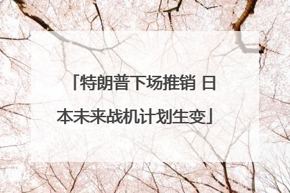 特朗普下场推销 日本未来战机计划生变