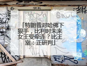 特朗普对哈佛下狠手，比利时未来女王受牵连？比王室：正研判