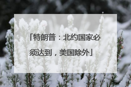 特朗普：北约国家必须达到，美国除外