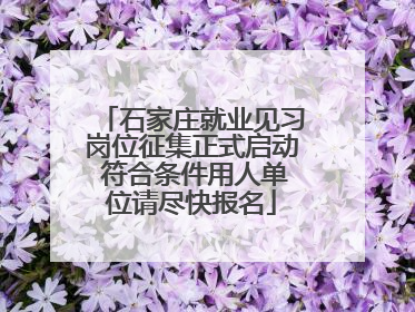 石家庄就业见习岗位征集正式启动 符合条件用人单位请尽快报名