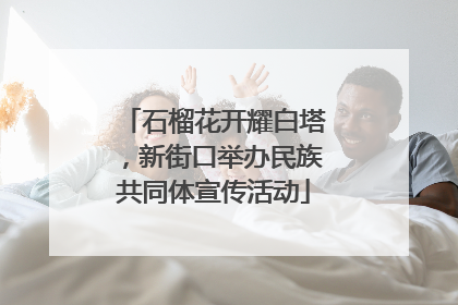 石榴花开耀白塔，新街口举办民族共同体宣传活动