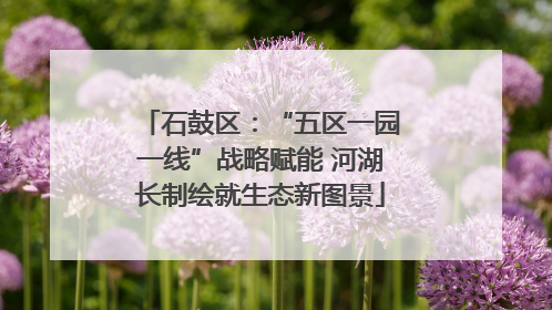 石鼓区：“五区一园一线”战略赋能 河湖长制绘就生态新图景