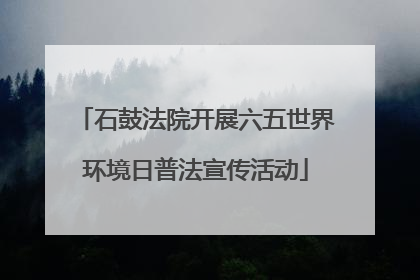 石鼓法院开展六五世界环境日普法宣传活动