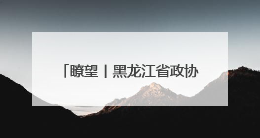 瞭望丨黑龙江省政协精准助力企业纾困