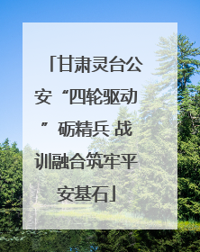 甘肃灵台公安“四轮驱动”砺精兵 战训融合筑牢平安基石