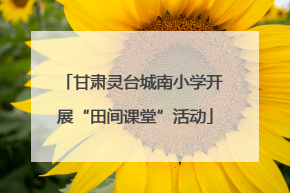 甘肃灵台城南小学开展“田间课堂”活动
