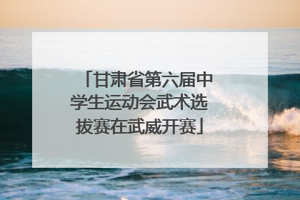 甘肃省第六届中学生运动会武术选拔赛在武威开赛