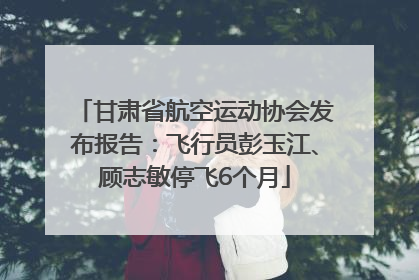 甘肃省航空运动协会发布报告：飞行员彭玉江、顾志敏停飞6个月
