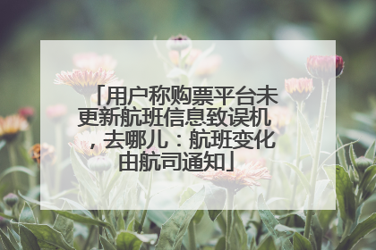 用户称购票平台未更新航班信息致误机，去哪儿：航班变化由航司通知