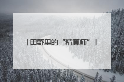田野里的“精算师”