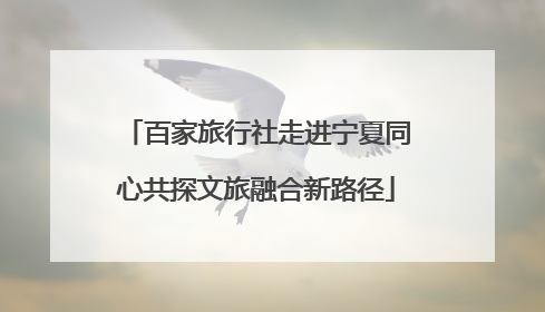 百家旅行社走进宁夏同心共探文旅融合新路径