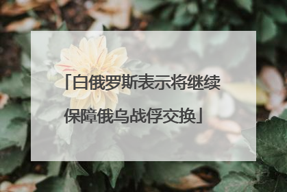 白俄罗斯表示将继续保障俄乌战俘交换