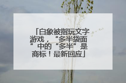 白象被指玩文字游戏，“多半袋面”中的“多半”是商标！最新回应