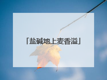 盐碱地上麦香溢