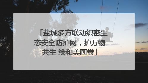 盐城多方联动织密生态安全防护网，护万物共生 绘和美画卷