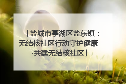 盐城市亭湖区盐东镇：无结核社区行动守护健康 ·共建无结核社区