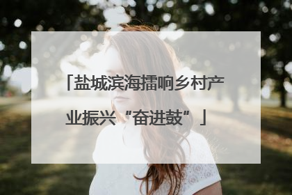 盐城滨海擂响乡村产业振兴“奋进鼓”