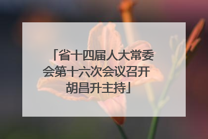 省十四届人大常委会第十六次会议召开 胡昌升主持