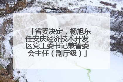 省委决定，杨旭东任安庆经济技术开发区党工委书记兼管委会主任（副厅级）