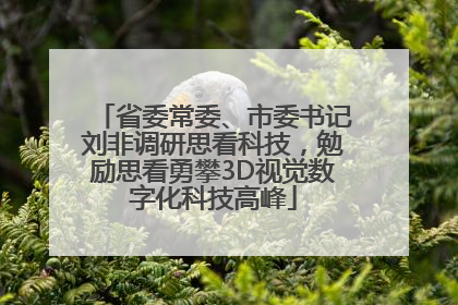 省委常委、市委书记刘非调研思看科技，勉励思看勇攀3D视觉数字化科技高峰