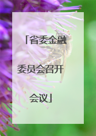 省委金融委员会召开会议