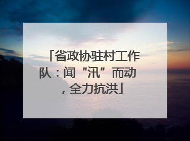 省政协驻村工作队：闻“汛”而动，全力抗洪