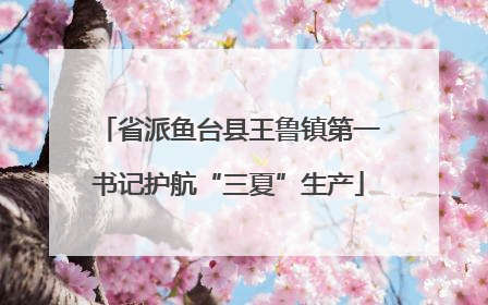 省派鱼台县王鲁镇第一书记护航“三夏”生产