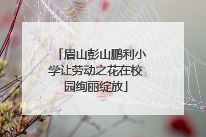 眉山彭山鹏利小学让劳动之花在校园绚丽绽放