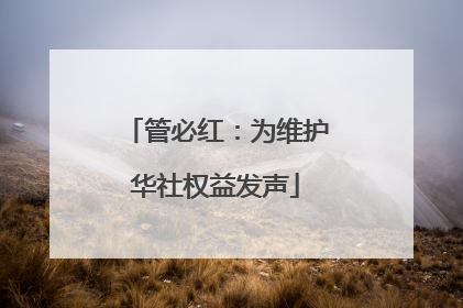 管必红：为维护华社权益发声