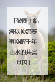破圈！临海以顶流赛事唤醒千年山水的共富基因