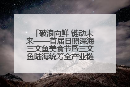 破浪向鲜 链动未来——首届日照深海三文鱼美食节暨三文鱼陆海统筹全产业链发展会议嘉宾访谈