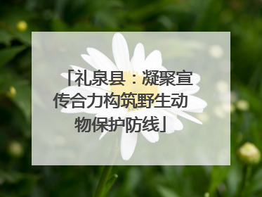礼泉县：凝聚宣传合力构筑野生动物保护防线