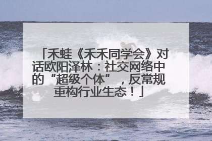 禾蛙《禾禾同学会》对话欧阳泽林：社交网络中的“超级个体”，反常规重构行业生态！
