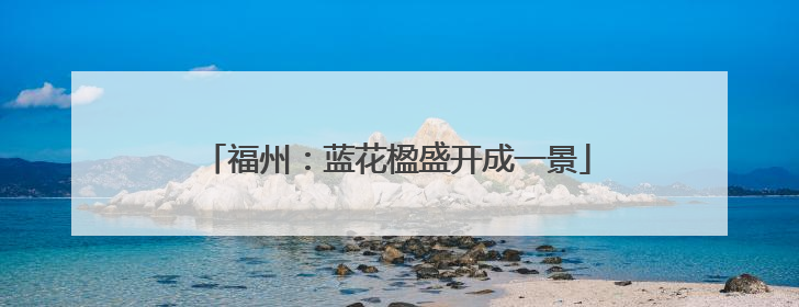 福州：蓝花楹盛开成一景