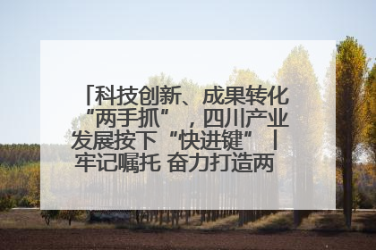 科技创新、成果转化“两手抓”，四川产业发展按下“快进键”丨牢记嘱托 奋力打造两高地两基地一屏障