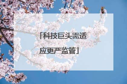 科技巨头需适应更严监管