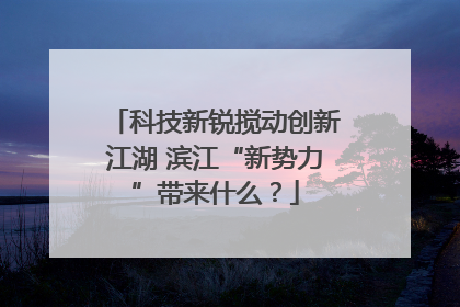 科技新锐搅动创新江湖 滨江“新势力”带来什么？