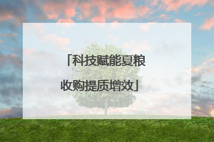 科技赋能夏粮收购提质增效