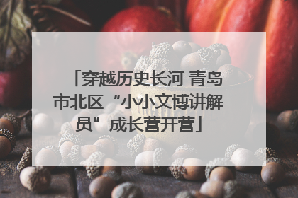 穿越历史长河 青岛市北区“小小文博讲解员”成长营开营