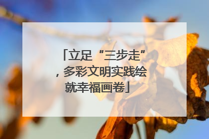 立足“三步走”，多彩文明实践绘就幸福画卷
