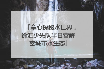 童心探秘水世界，徐汇少先队半日营解密城市水生态