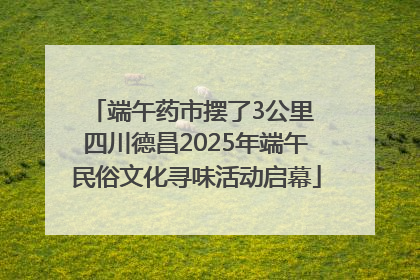 端午药市摆了3公里 四川德昌2025年端午民俗文化寻味活动启幕