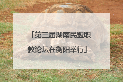 第三届湖南民盟职教论坛在衡阳举行