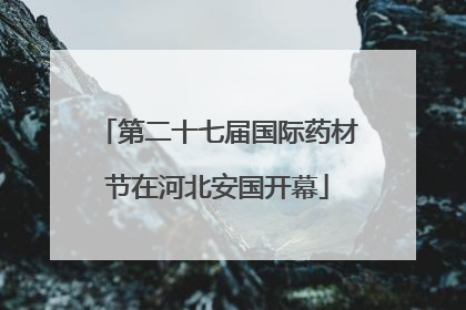第二十七届国际药材节在河北安国开幕