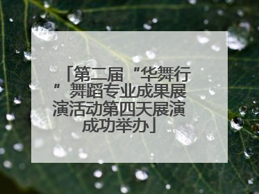 第二届“华舞行”舞蹈专业成果展演活动第四天展演成功举办