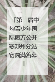 第二届中匈青少年国际魔方公开赛郑州分站赛圆满落幕