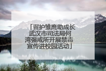 翼护雏鹰助成长 武汉市司法局何湾强戒所开展禁毒宣传进校园活动
