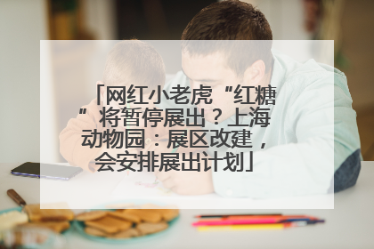 网红小老虎“红糖”将暂停展出？上海动物园：展区改建，会安排展出计划