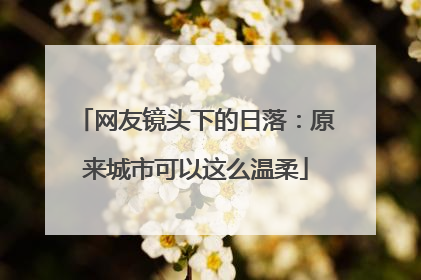 网友镜头下的日落：原来城市可以这么温柔